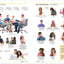 Spanish English Bilingual Visual Dictionary (DK Bilingual Visual Dictionaries)