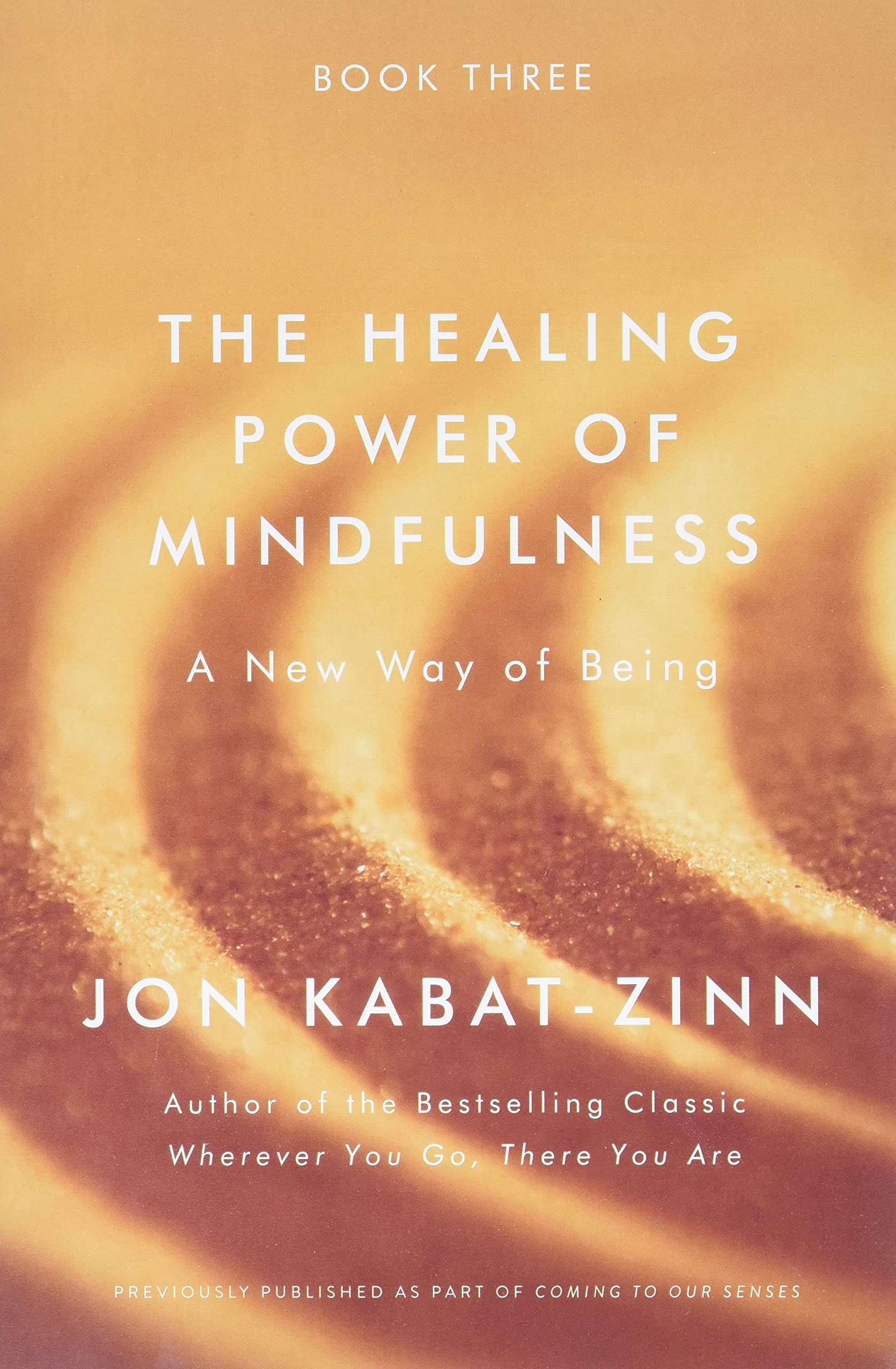 The Healing Power of Mindfulness: A New Way of Being