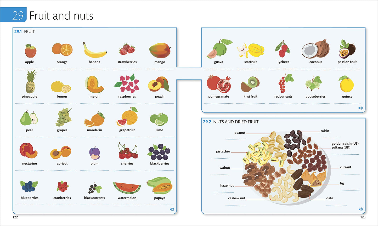 English for Everyone: English Vocabulary Builder (DK English for Everyone)