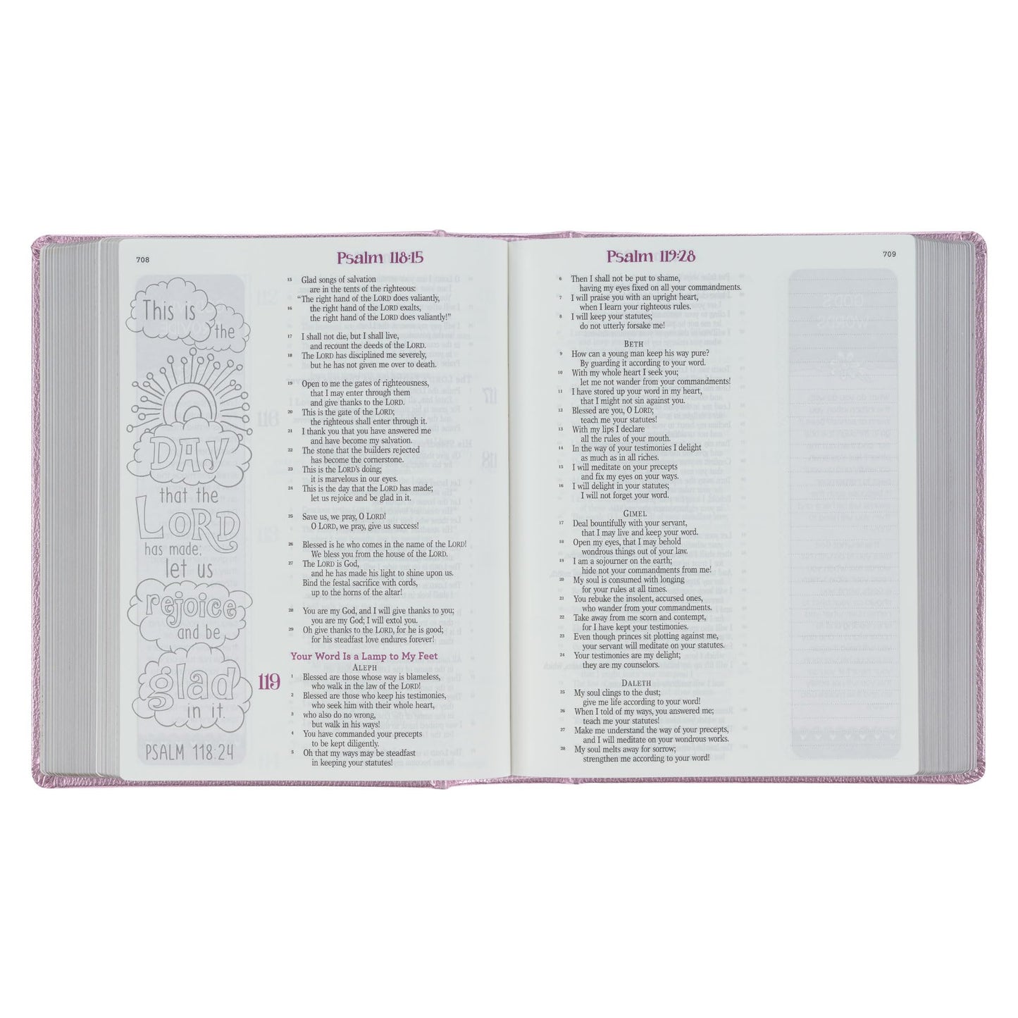 ESV Holy Bible, My Creative Bible For Girls, Faux Leather Hardcover w/Ribbon Marker, Illustrated Coloring, Journaling and Devotional Bible, English ... Metallic Pink (ESV Creative Editions Girls)