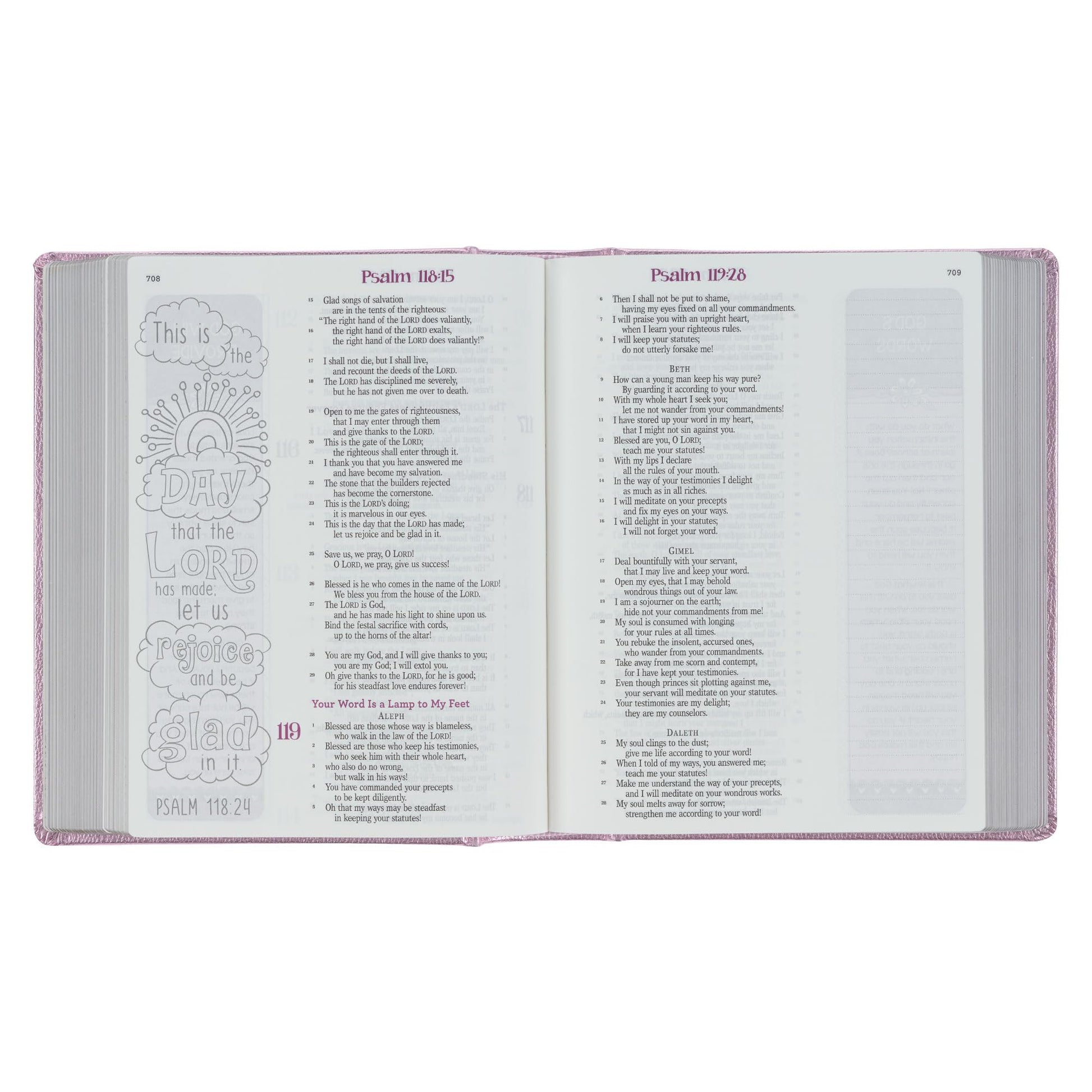 ESV Holy Bible, My Creative Bible For Girls, Faux Leather Hardcover w/Ribbon Marker, Illustrated Coloring, Journaling and Devotional Bible, English ... Metallic Pink (ESV Creative Editions Girls)