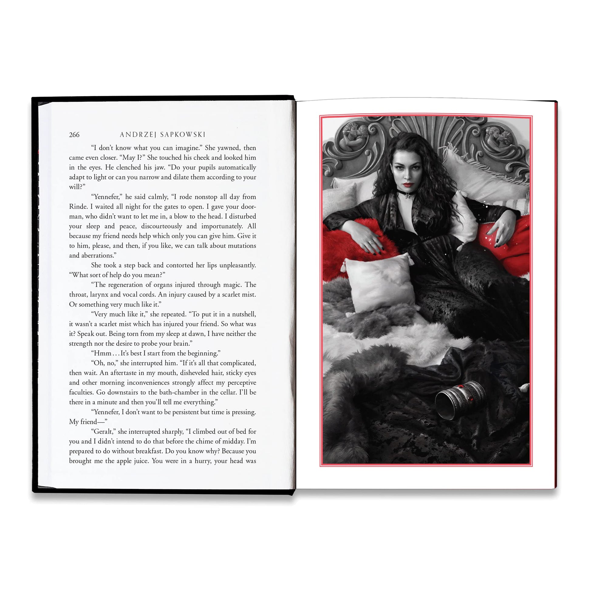 The Last Wish: Illustrated Edition (The Witcher, 1)