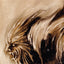 The Howling
