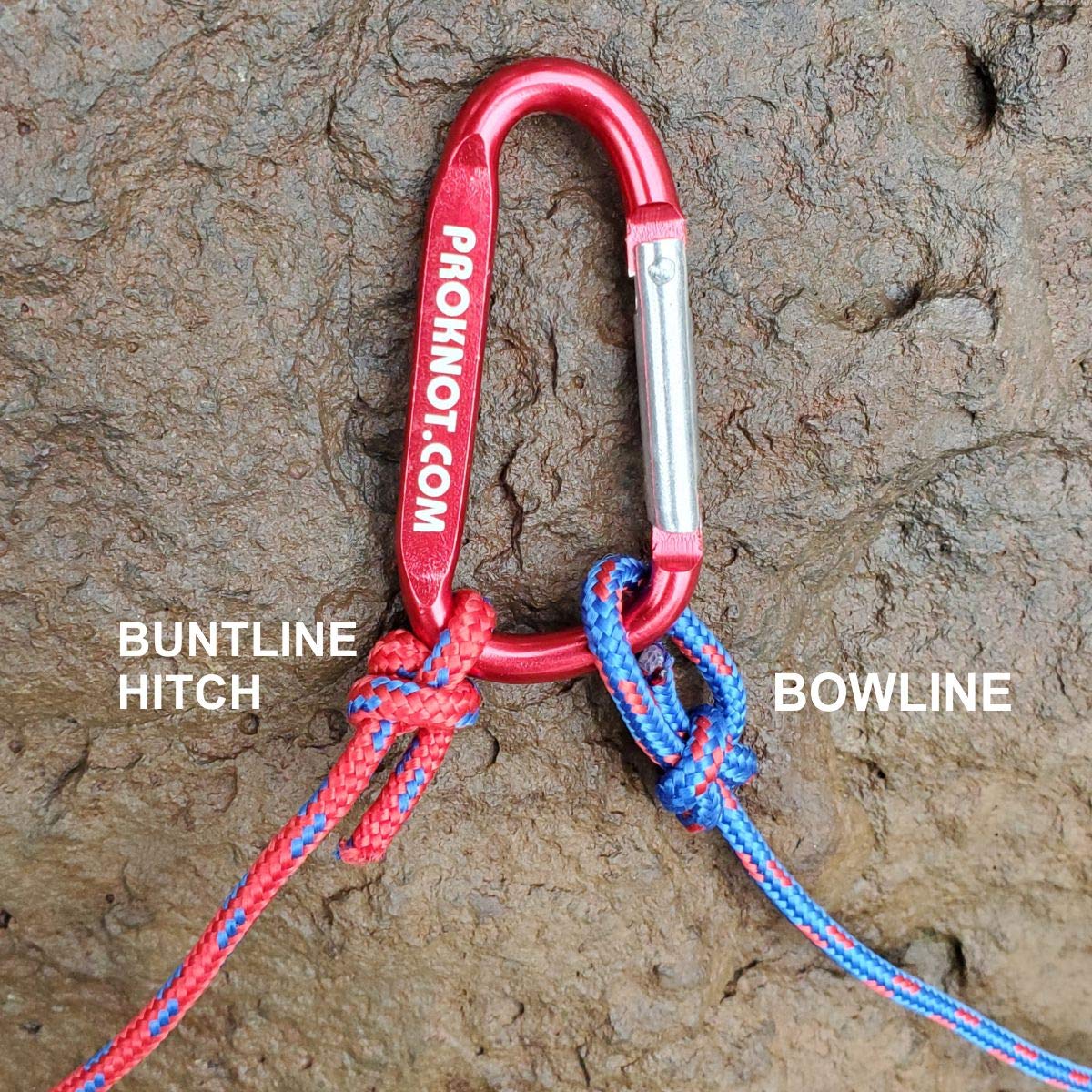 Knot Tying Kit  Pro-Knot Best Rope Knot Cards, two practice cords and a carabiner