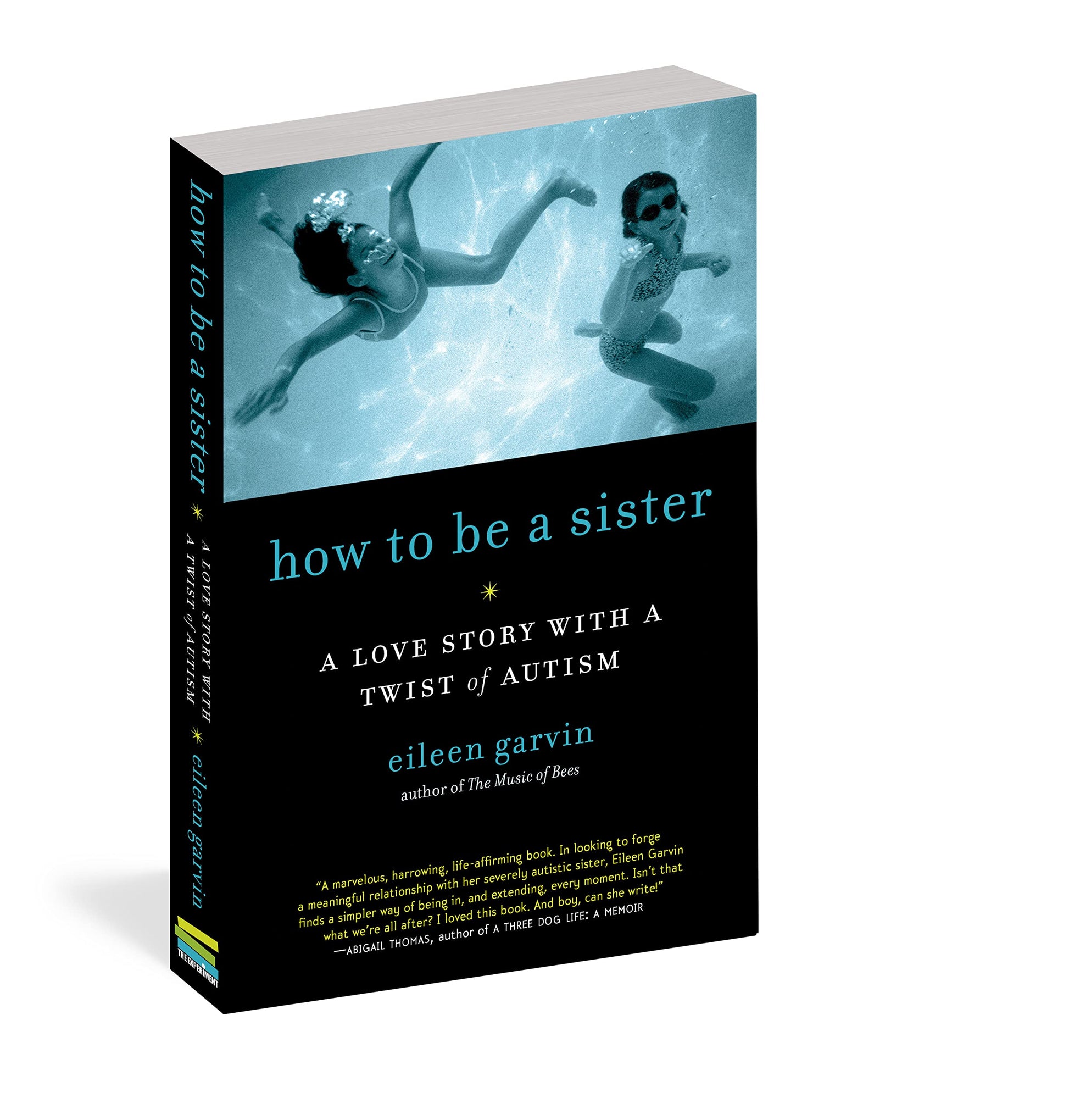 How to Be a Sister: A Love Story with a Twist of Autism