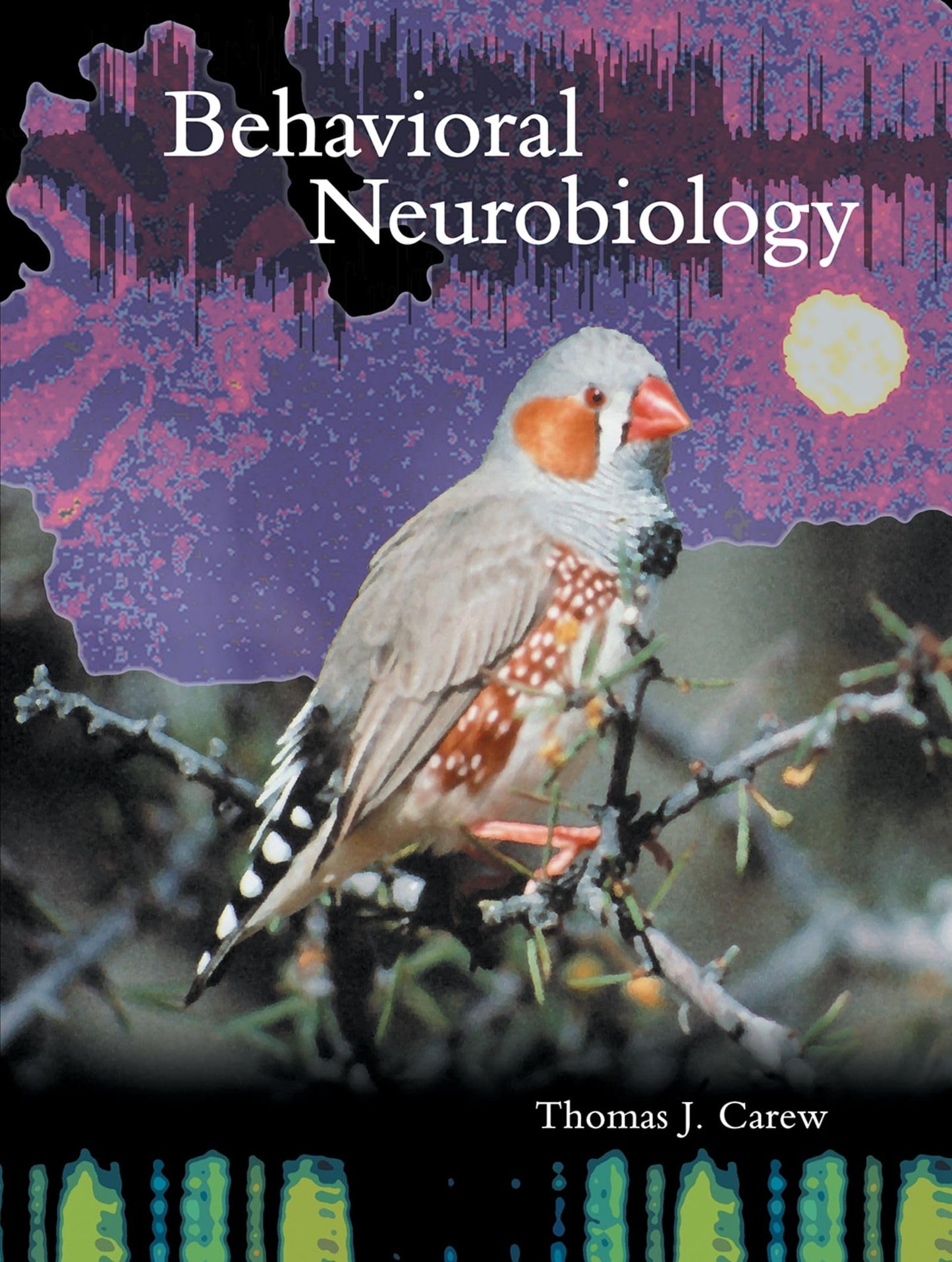 Behavioral Neurobiology: The Cellular Organization of Natural Behavior