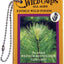 Edible Wild Foods Playing Cards (All Ages)
