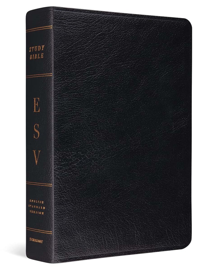 ESV Study Bible (Black, Indexed)