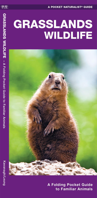 Grasslands Wildlife: An Introduction to Familiar Species Found in Prairie Grasslands (Wildlife and Nature Identification)