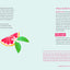 Instant Calm: 2-Minute Meditations to Create a Lifetime of Happy