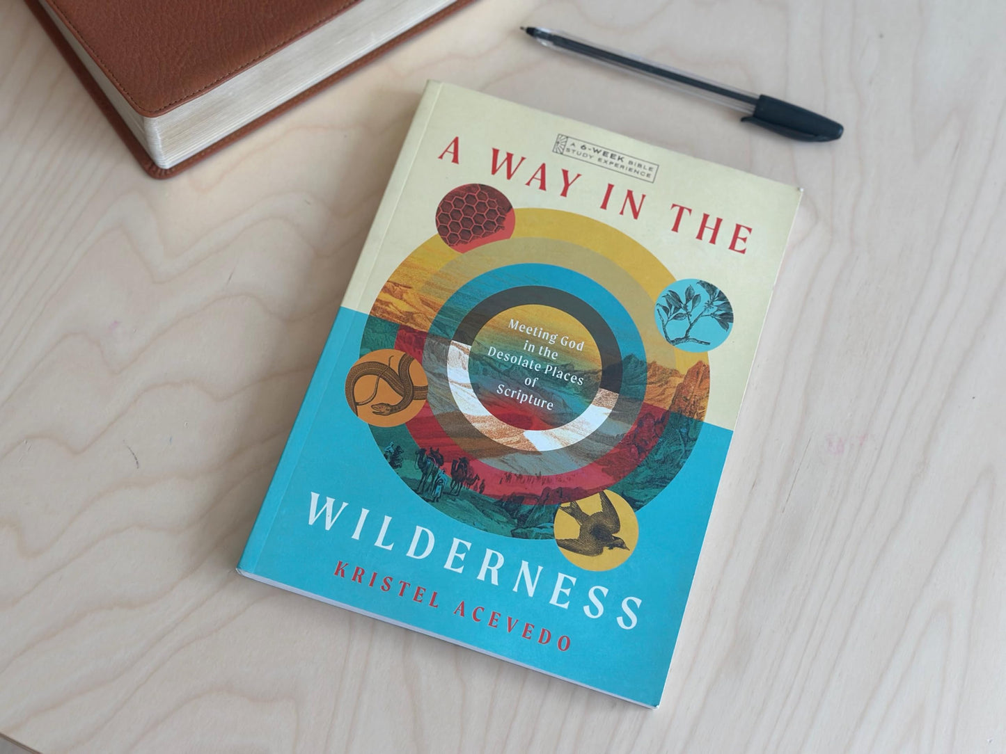 A Way in the Wilderness: Meeting God in the Desolate Places of Scripture--A 6-Week Bible Study with Video Access (IVP Bible Study Experience)