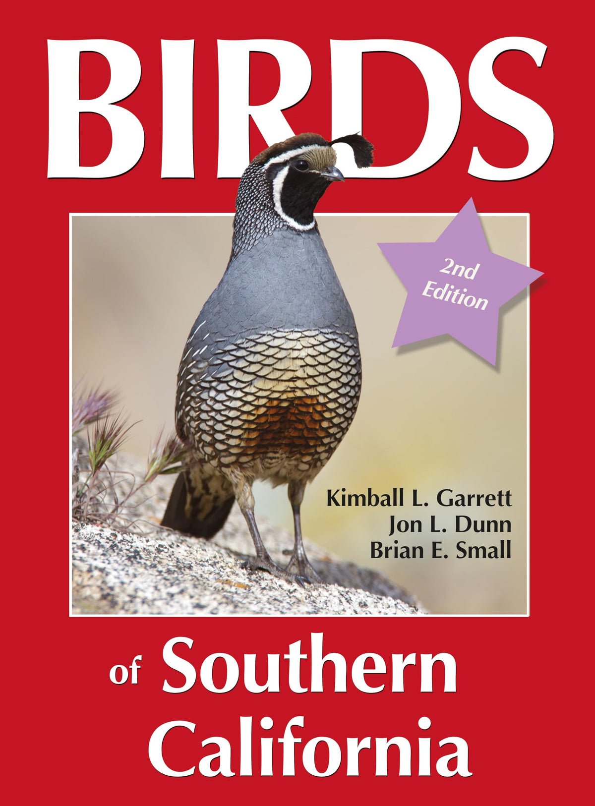 Birds of Southern California