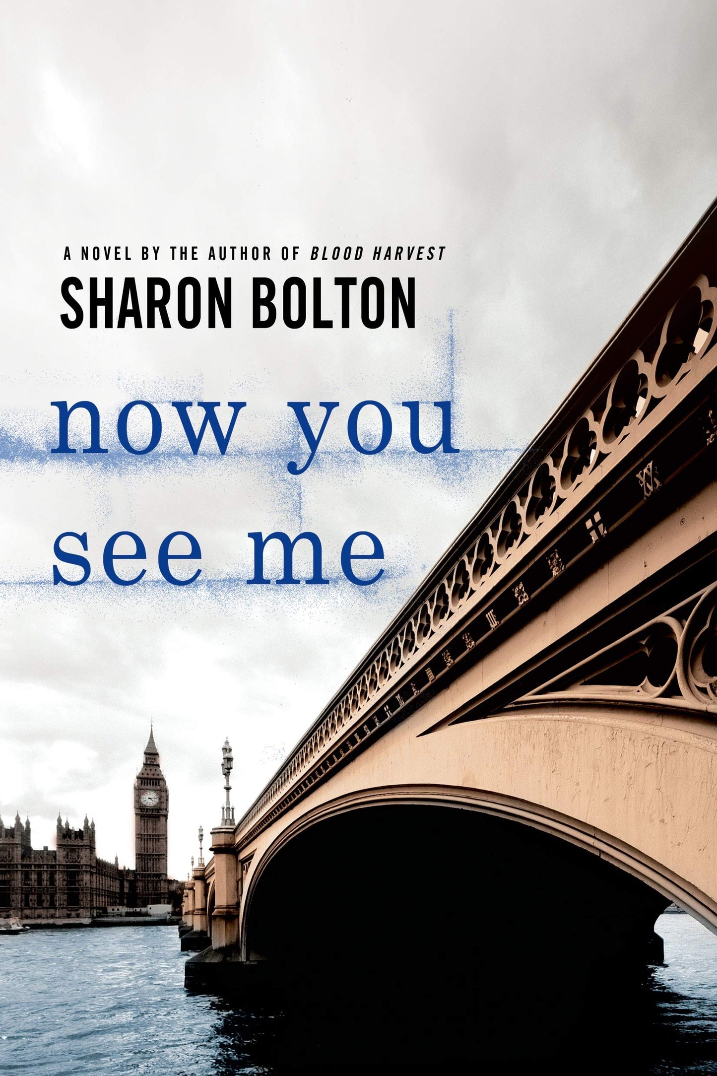Now You See Me: A Lacey Flint Novel (Lacey Flint Novels, 1)