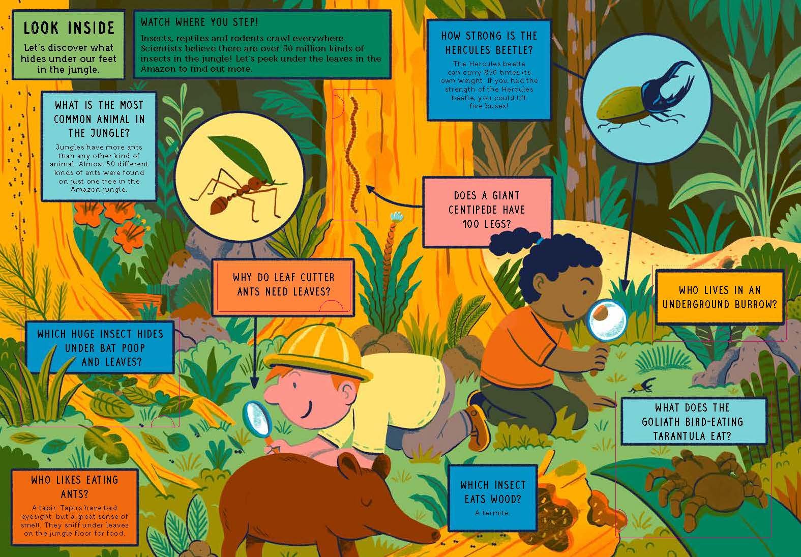 Life on Earth: Jungle: With 100 Questions and 70 Lift-flaps!