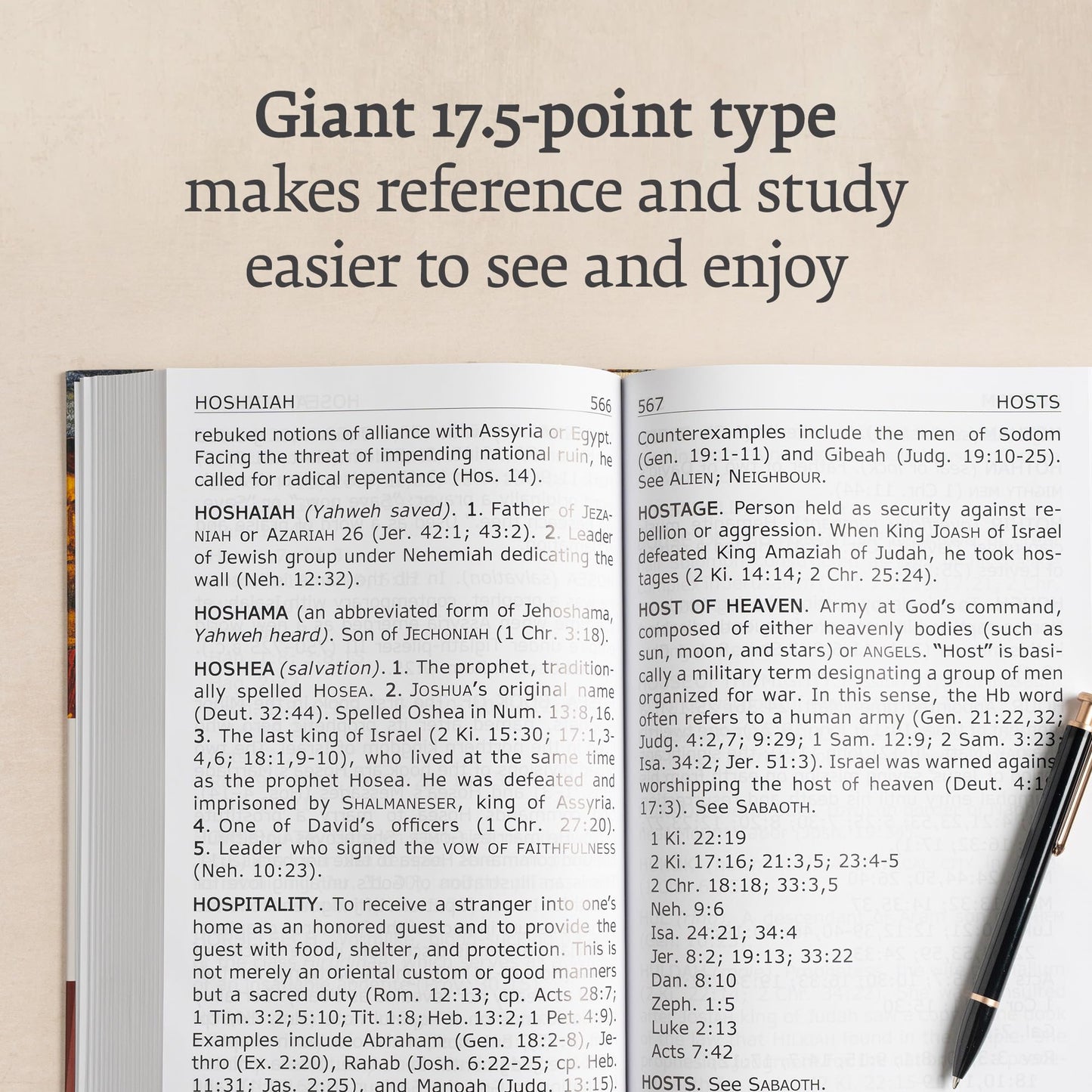 KJV Super Giant Print Dictionary & Concordance