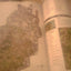 The Elder Scrolls V: Skyrim, Official Game Guide by Hodgson,