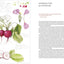 The Joy of Botanical Drawing: A Step-by-Step Guide to Drawing and Painting Flowers, Leaves, Fruit, and More