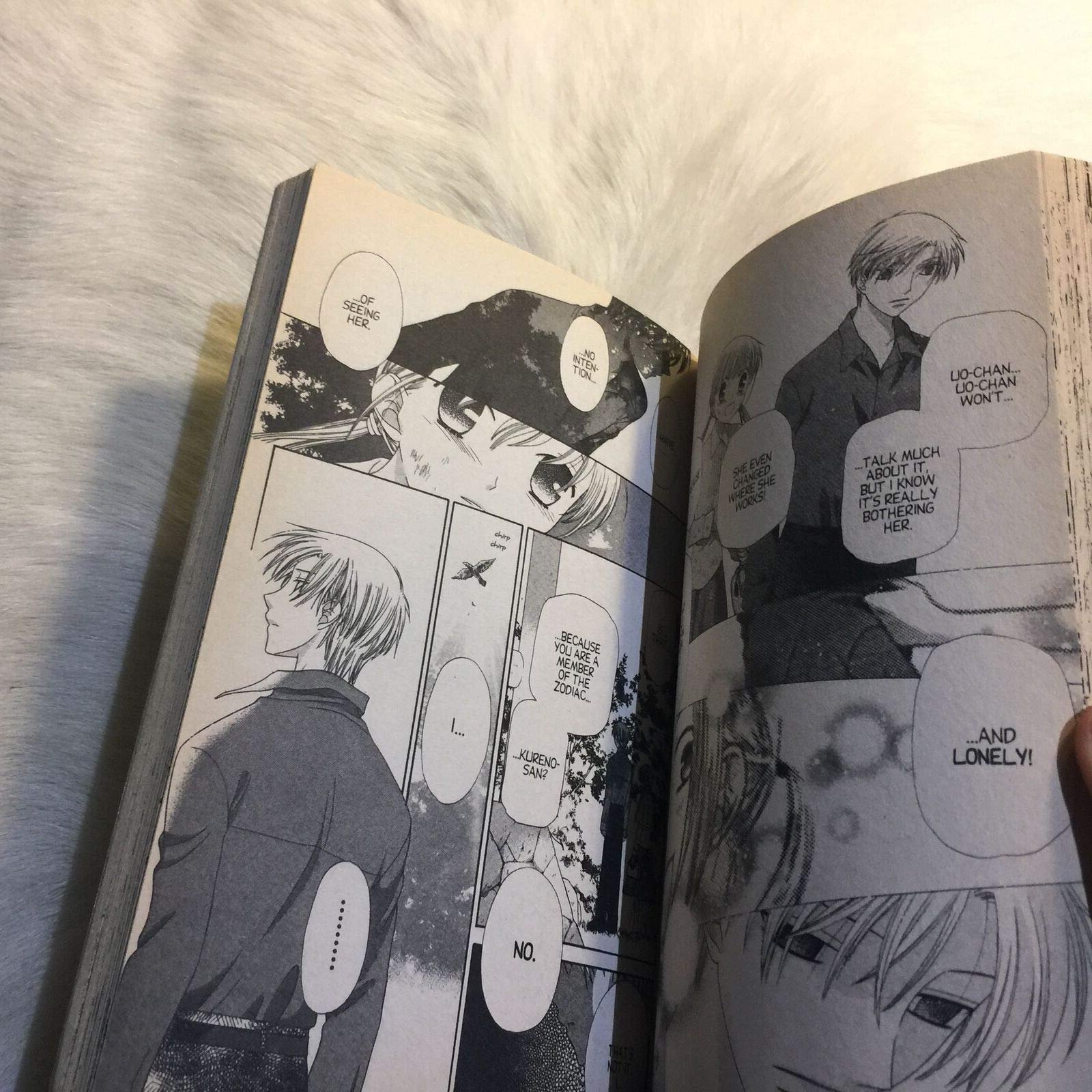 Fruits Basket, Vol. 13