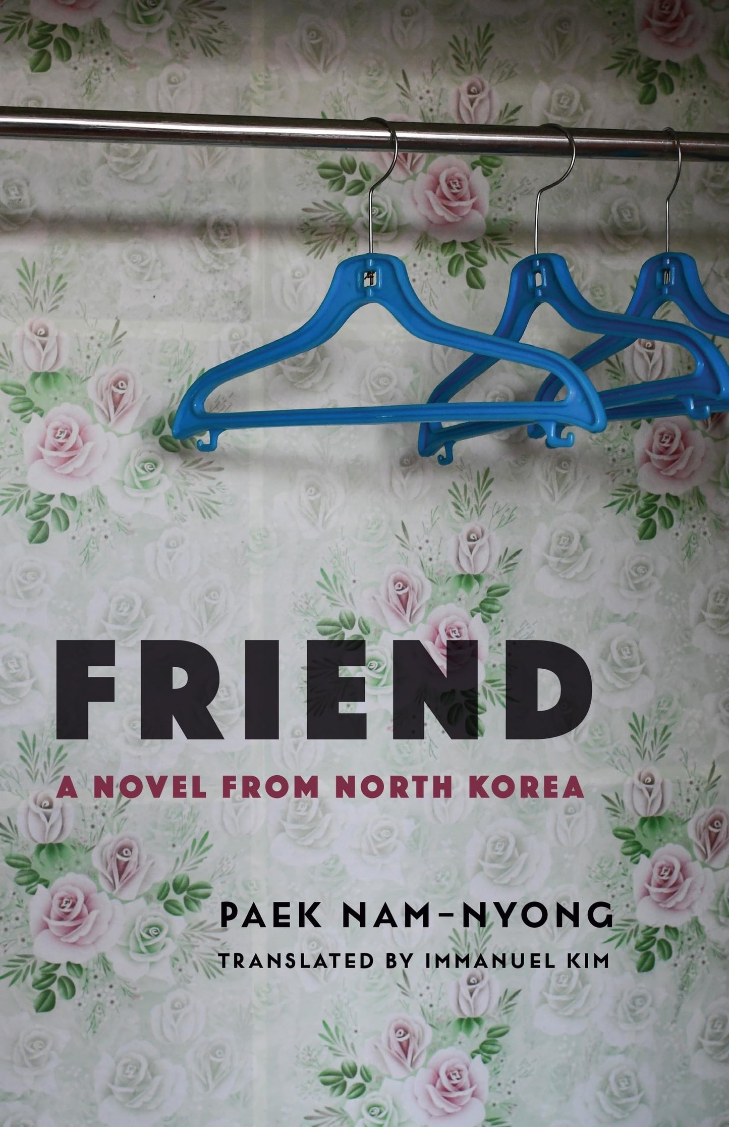 Friend: A Novel from North Korea (Weatherhead Books on Asia)