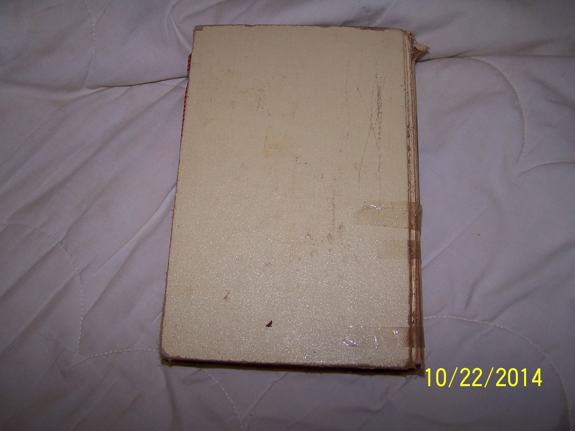 Mennonite Community Cookbook: Favorite Family Recipes