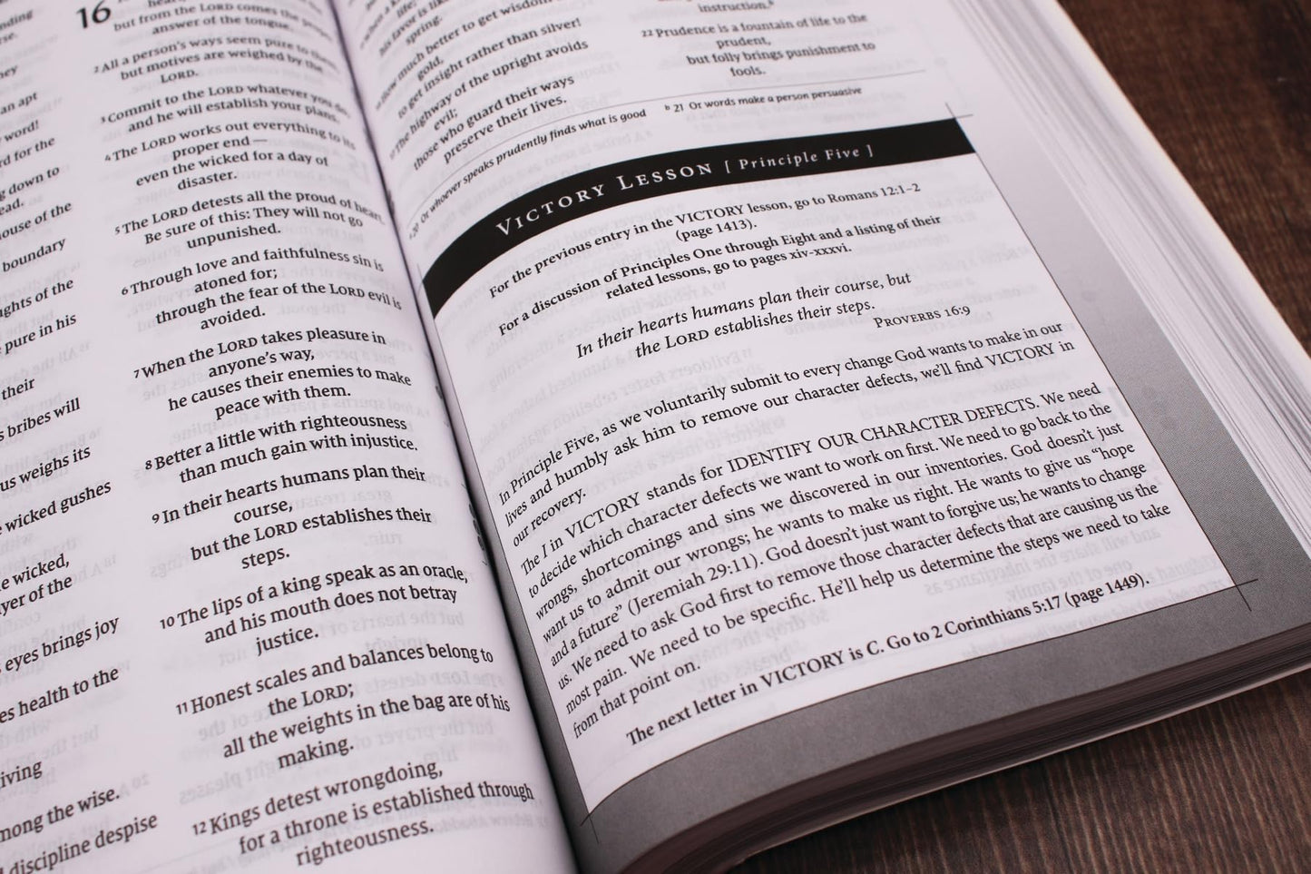 NIV, Celebrate Recovery Study Bible, Paperback, Comfort Prin