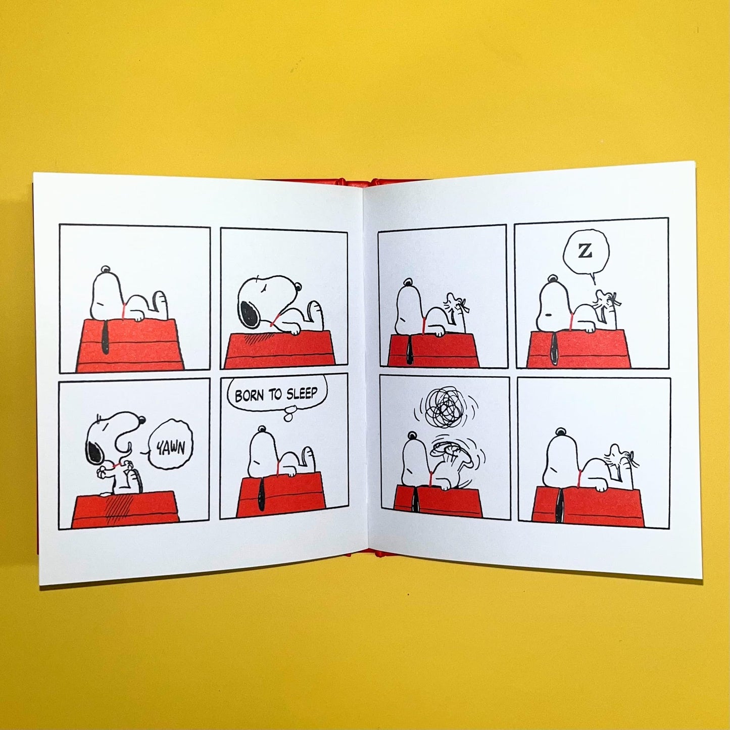 The Philosophy of Snoopy (Peanuts Guide to Life)
