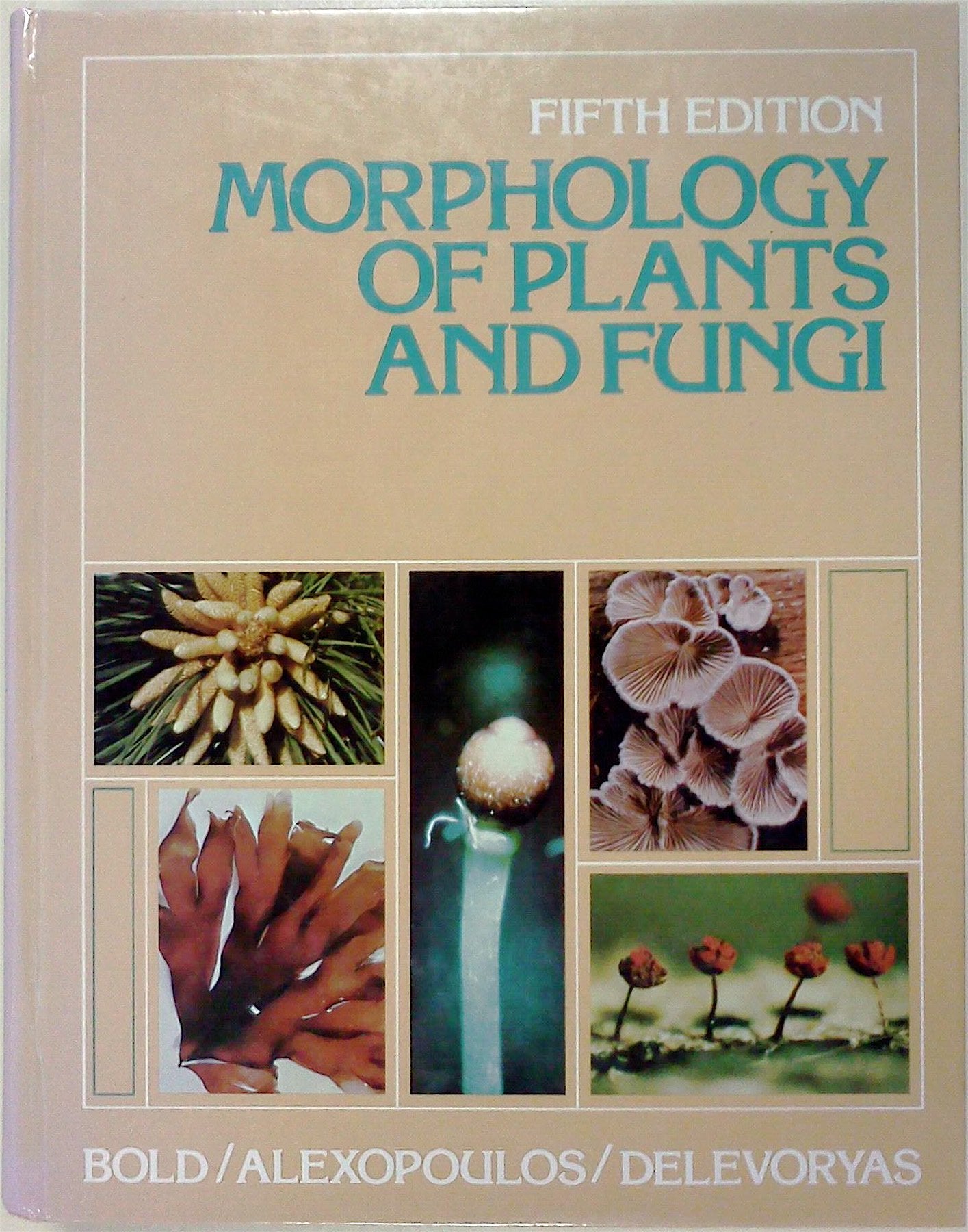 Morphology of Plants and Fungi