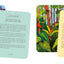 Mindful Escapes Meditation Cards: Discover inner calm wherever you are - 55 cards (Inspired Traveller's Guides)