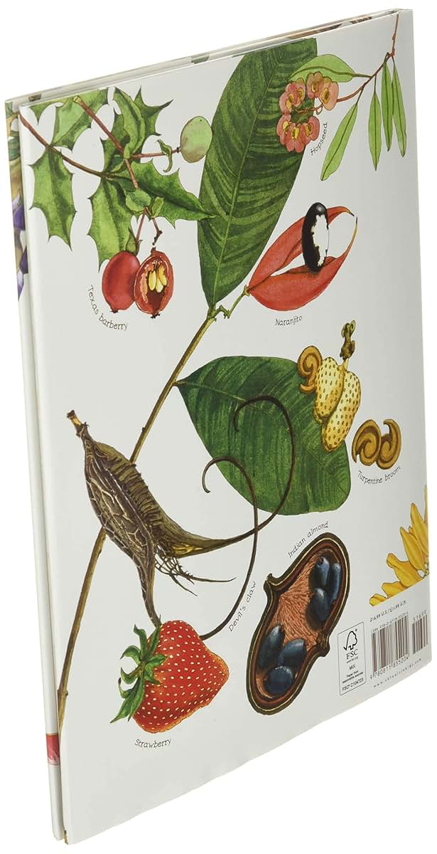 A Seed Is Sleepy (Sylvia Long) by Dianna Aston – Hardcover