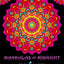 Mandalas At Midnight: A Mandala Coloring Book