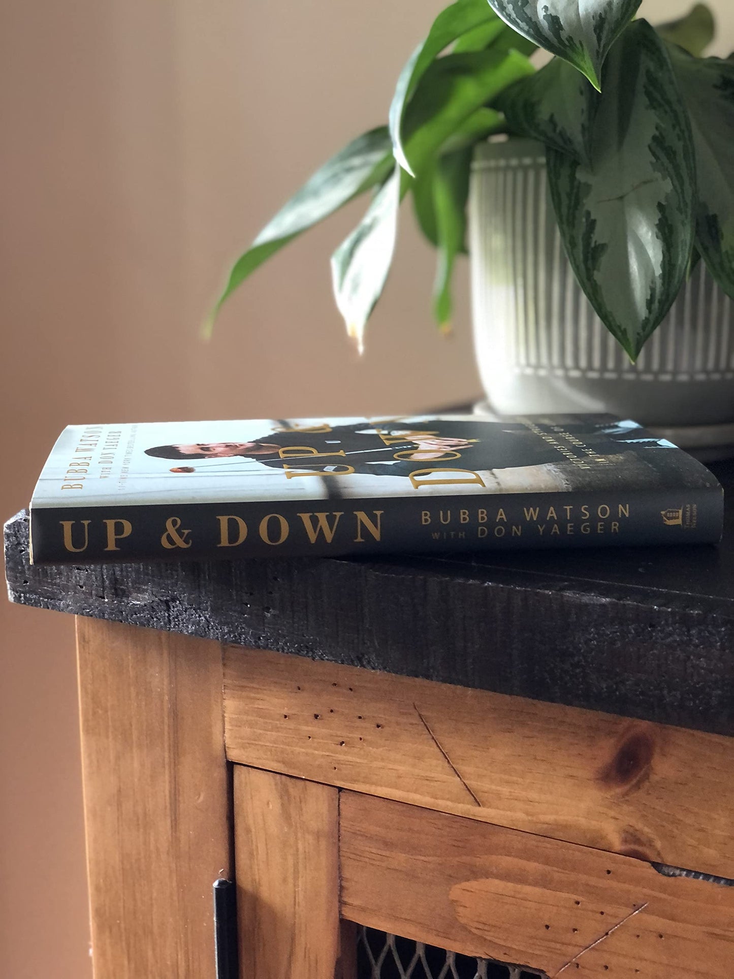 Up and Down: Victories and Struggles in the Course of Life