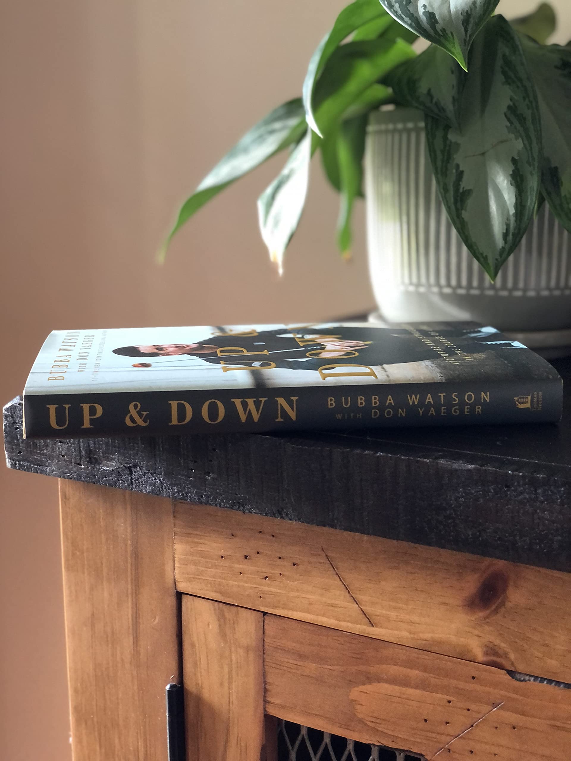 Up and Down: Victories and Struggles in the Course of Life