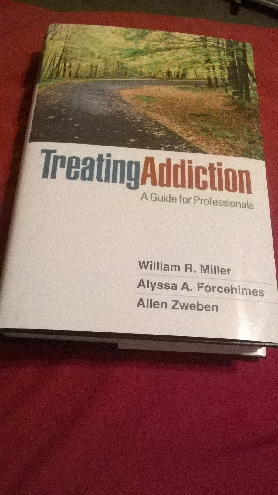 Treating Addiction: A Guide for Professionals by William R.