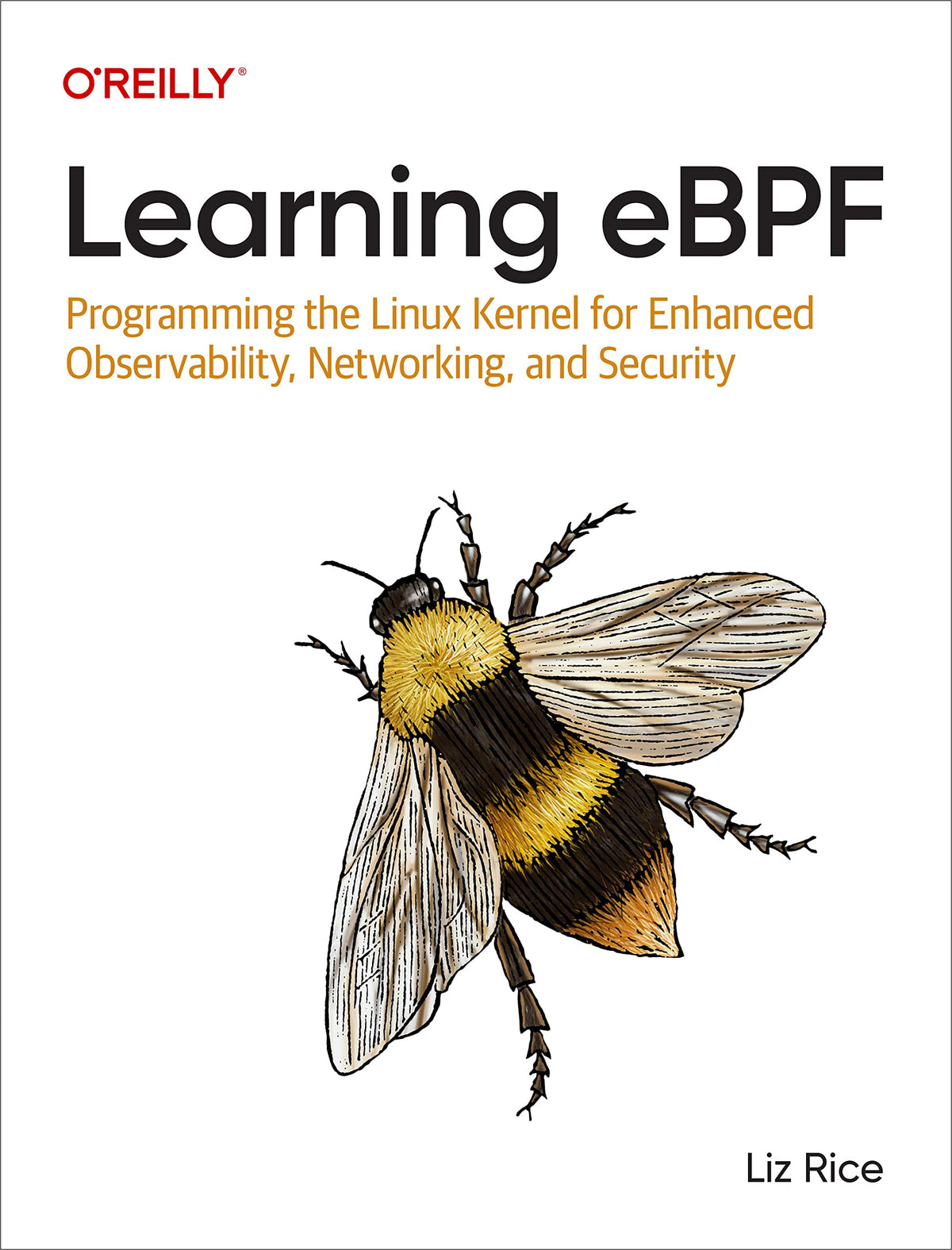 Learning eBPF: Programming the Linux Kernel for Enhanced Observability, Networking, and Security