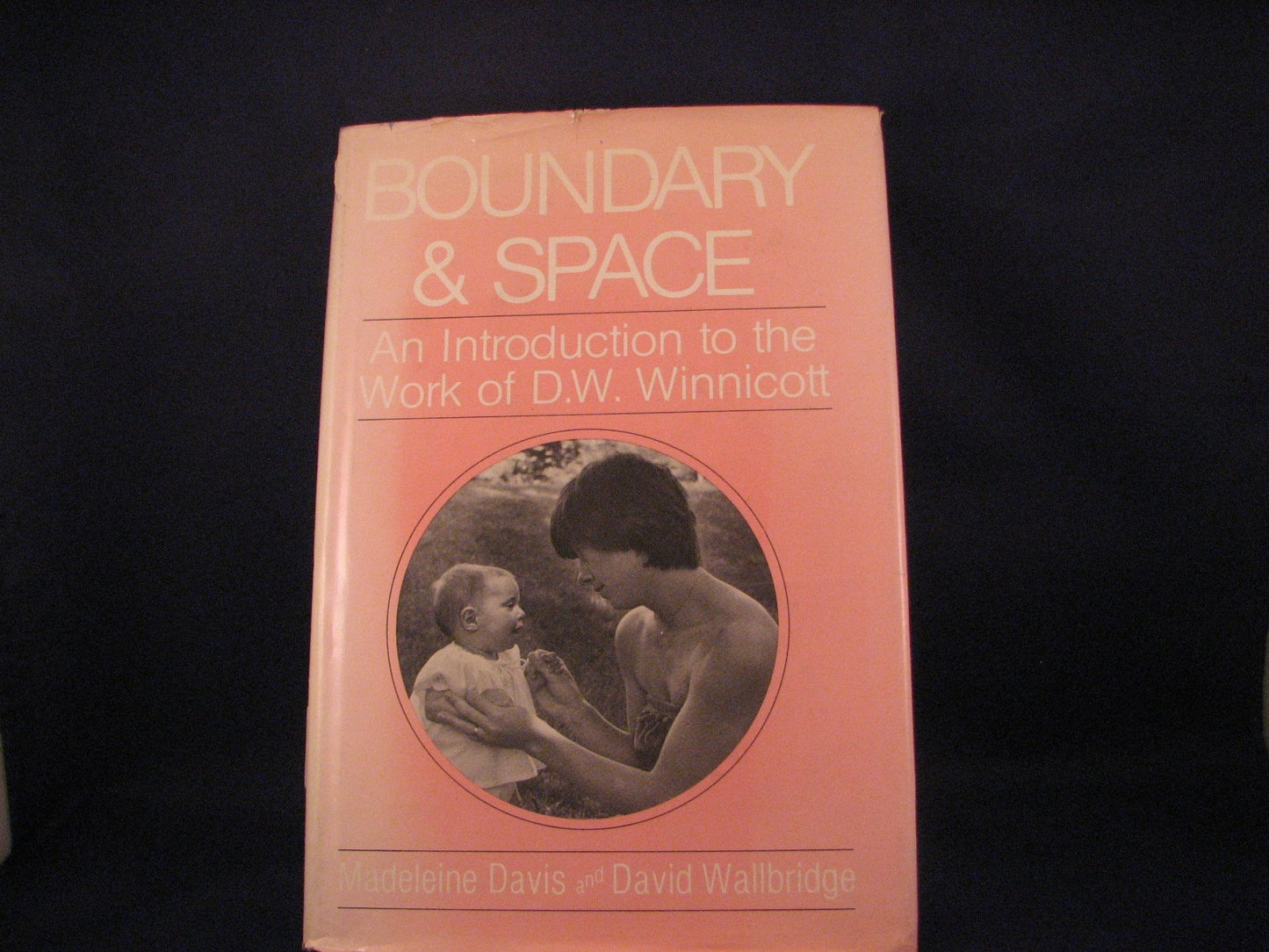 Boundary and space: An introduction to the work of D.W. Winn