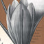 Engendering Romance: Women Writers and the Hawthorne Tradition, 1850-1990