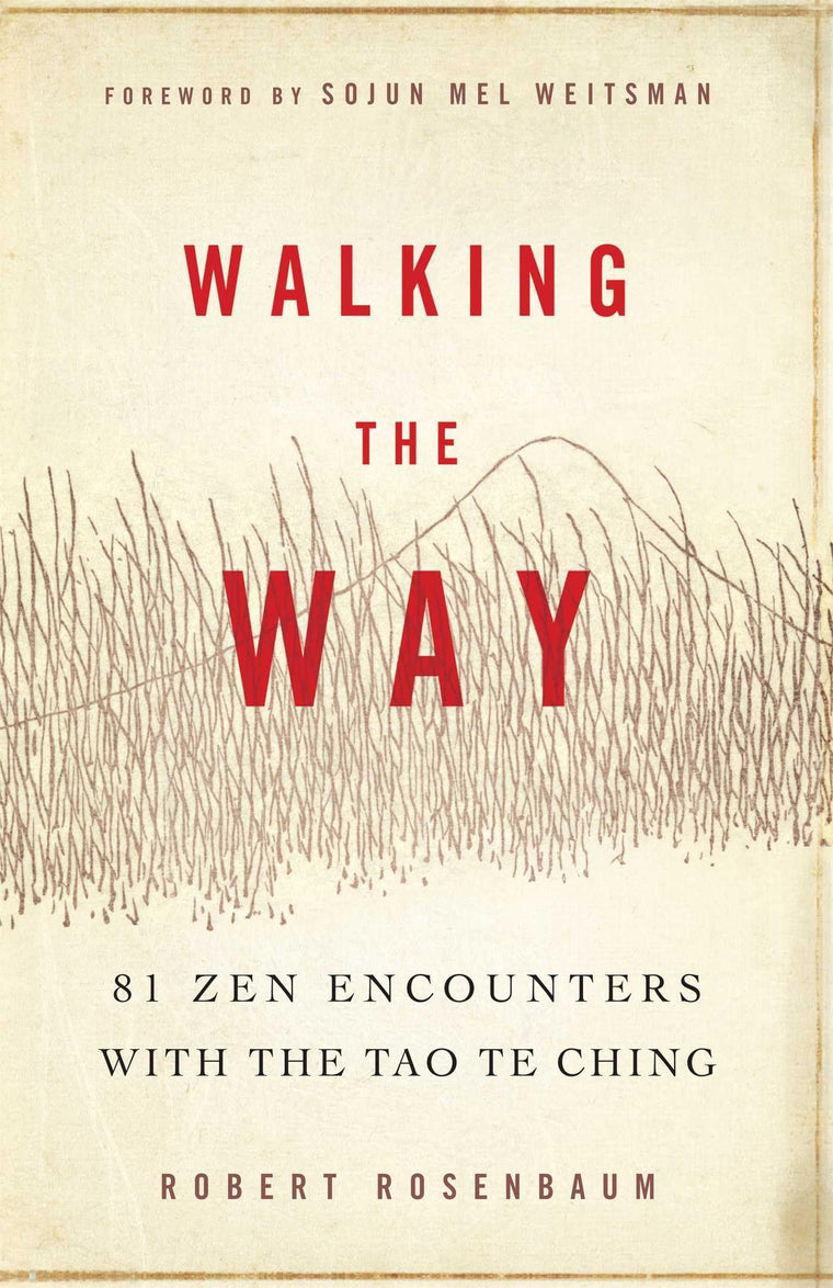 Walking the Way: 81 Zen Encounters with the Tao Te Ching by