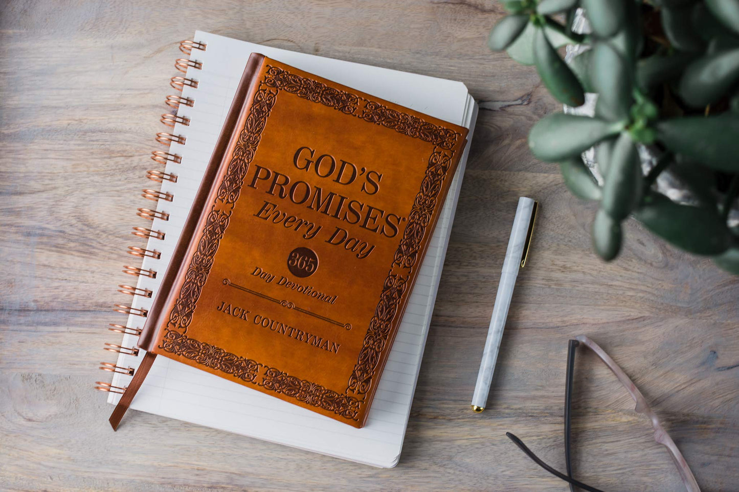 God's Promises Every Day: 365-Day Devotional
