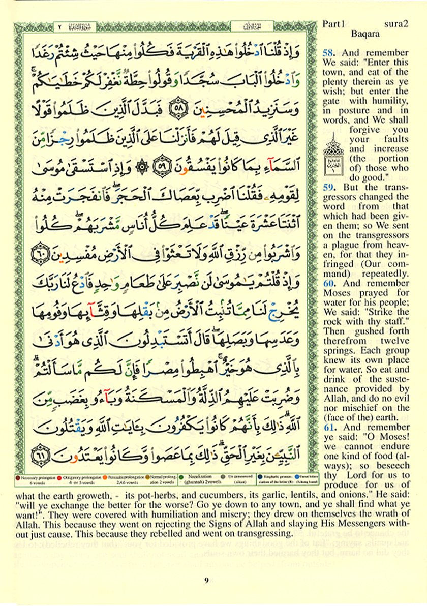 Tajweed Qur'an (Whole Qur an, With English Translation)