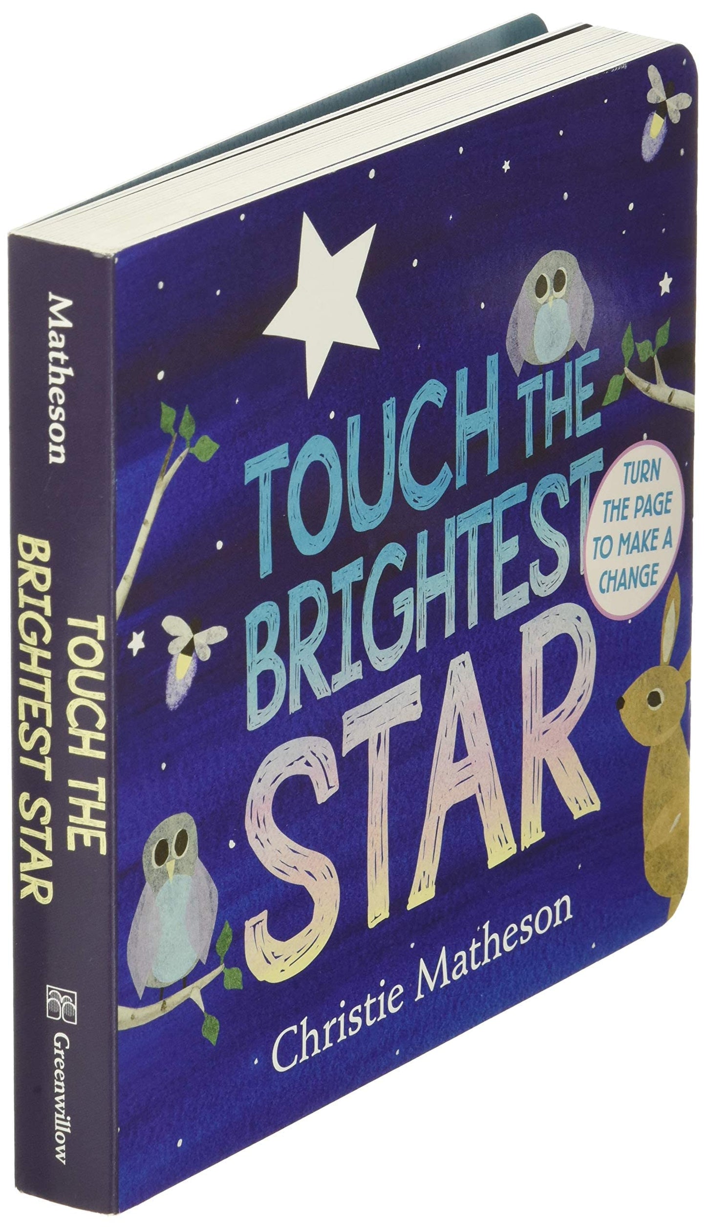 Touch the Brightest Star Board Book