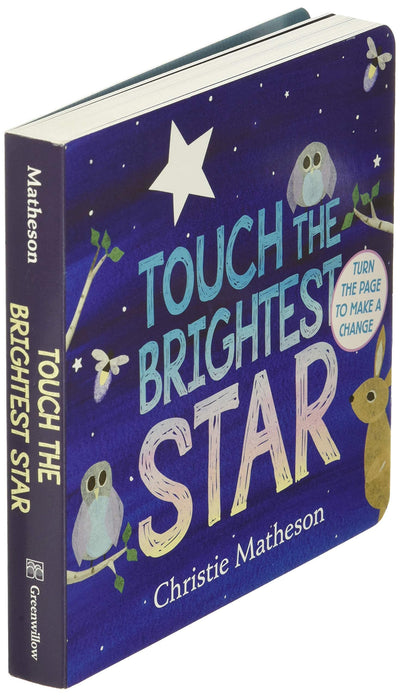 Touch the Brightest Star Board Book