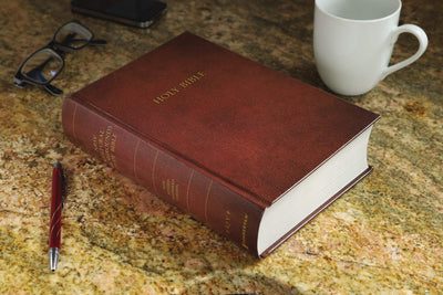 NRSV, Cultural Backgrounds Study Bible, Hardcover, Comfort P