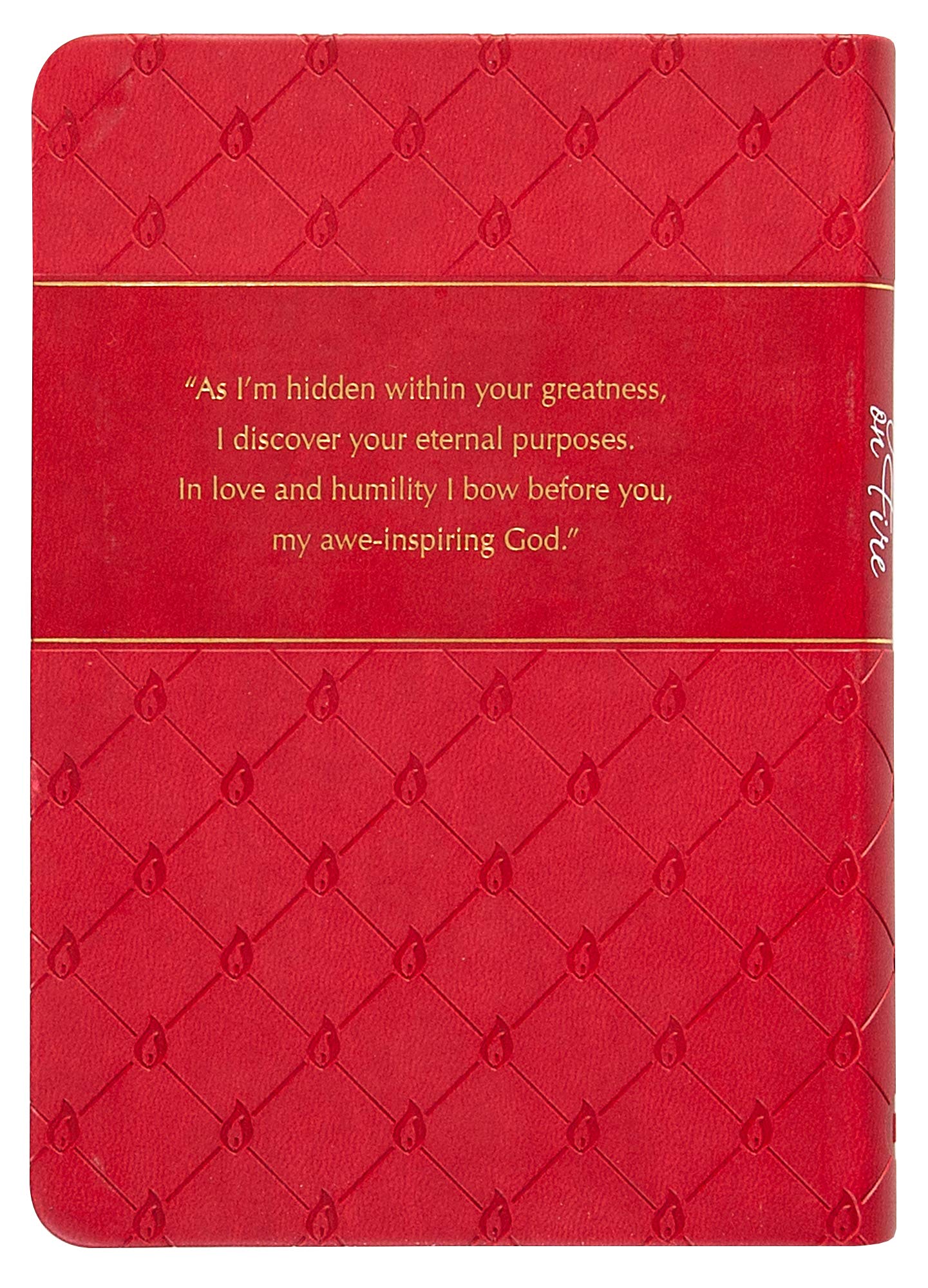 Prayers on Fire: 365 Days Praying the Psalms (The Passion Translation, Imitation Leather) - Daily Prayers Inspired by the Book of Psalms, Perfect Gift for Confirmation, Christmas, and More