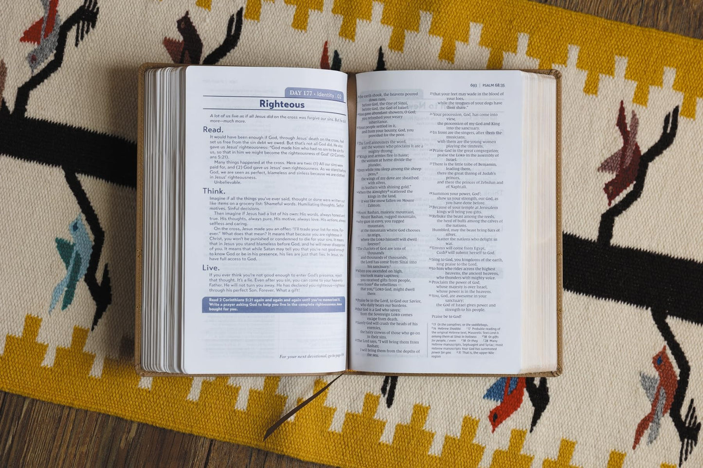 NIV, Read. Think. Live., Leathersoft, Brown, Comfort Print: 365-Day NIV Devotional Bible - Discover Your Part in God's Plan