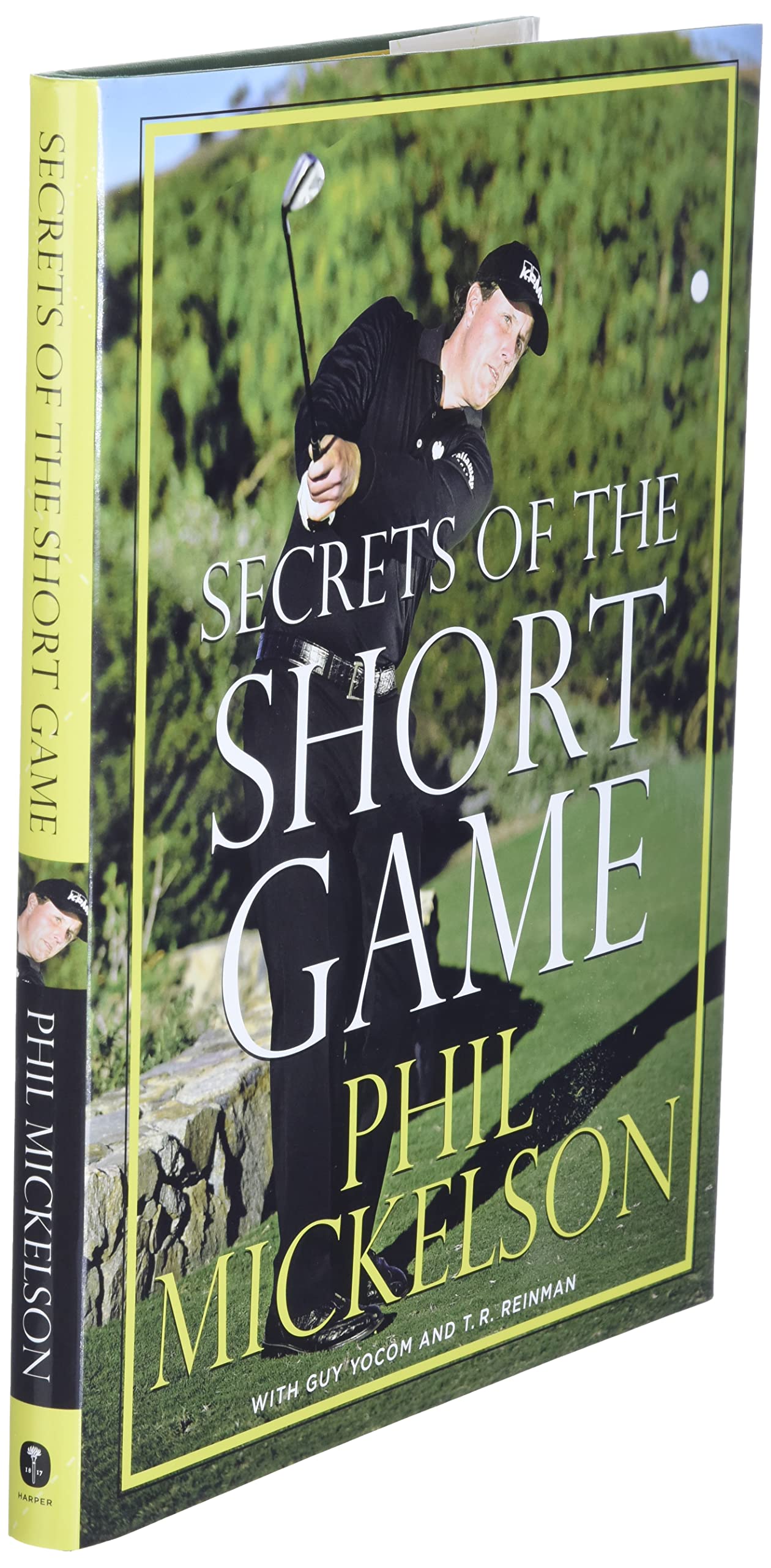 Secrets of the Short Game