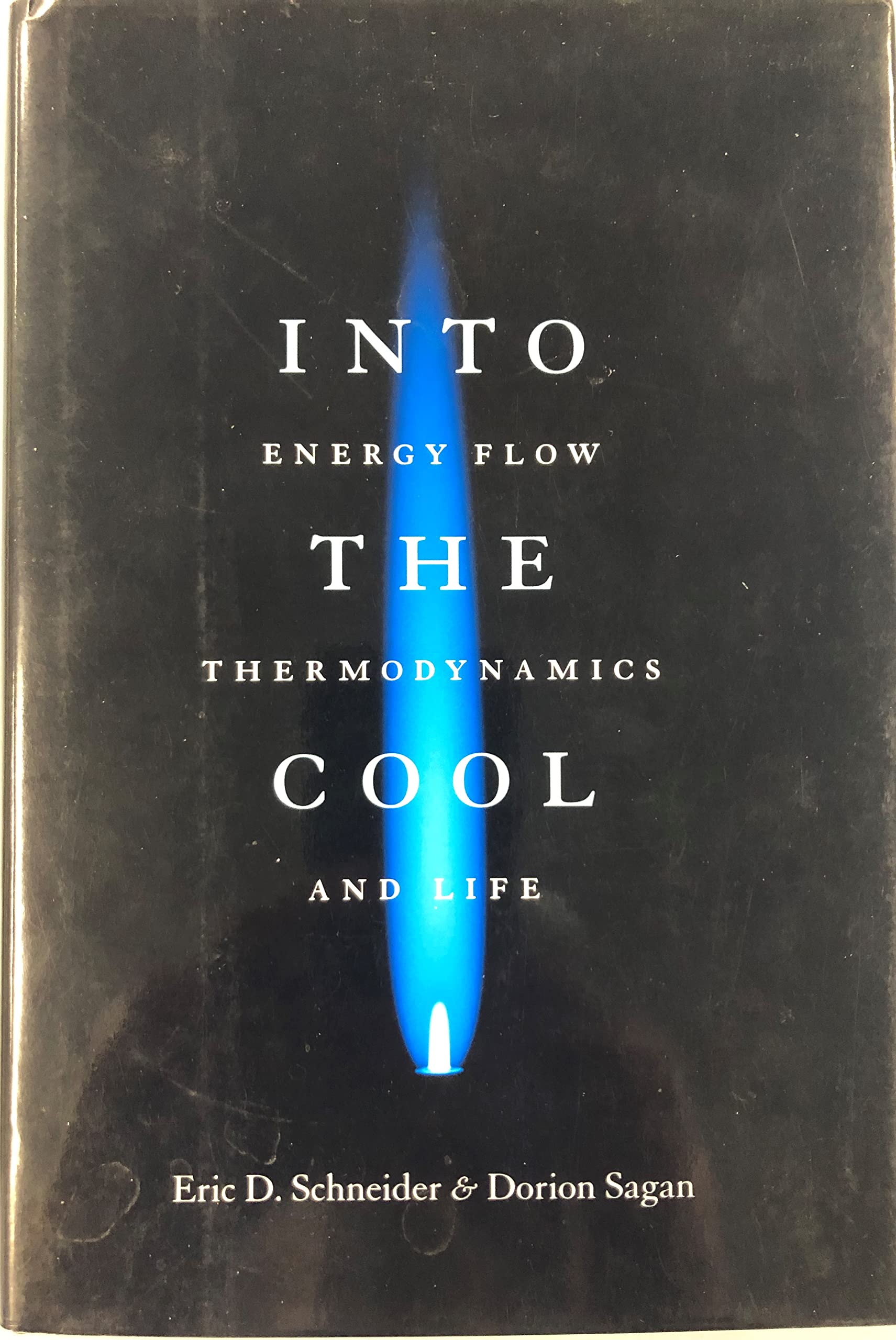 Into the Cool: Energy Flow, Thermodynamics, and Life
