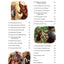The Book of Mormon for Young Readers