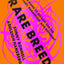 Rare Breed: A Guide to Success for the Defiant, Dangerous, and Different