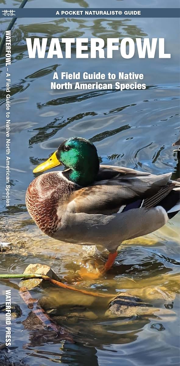 Waterfowl, 2nd Ed: A Field Guide to Native North American Species (Nature Observation North America)