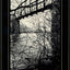 Above the River: The Complete Poems by Wright, James